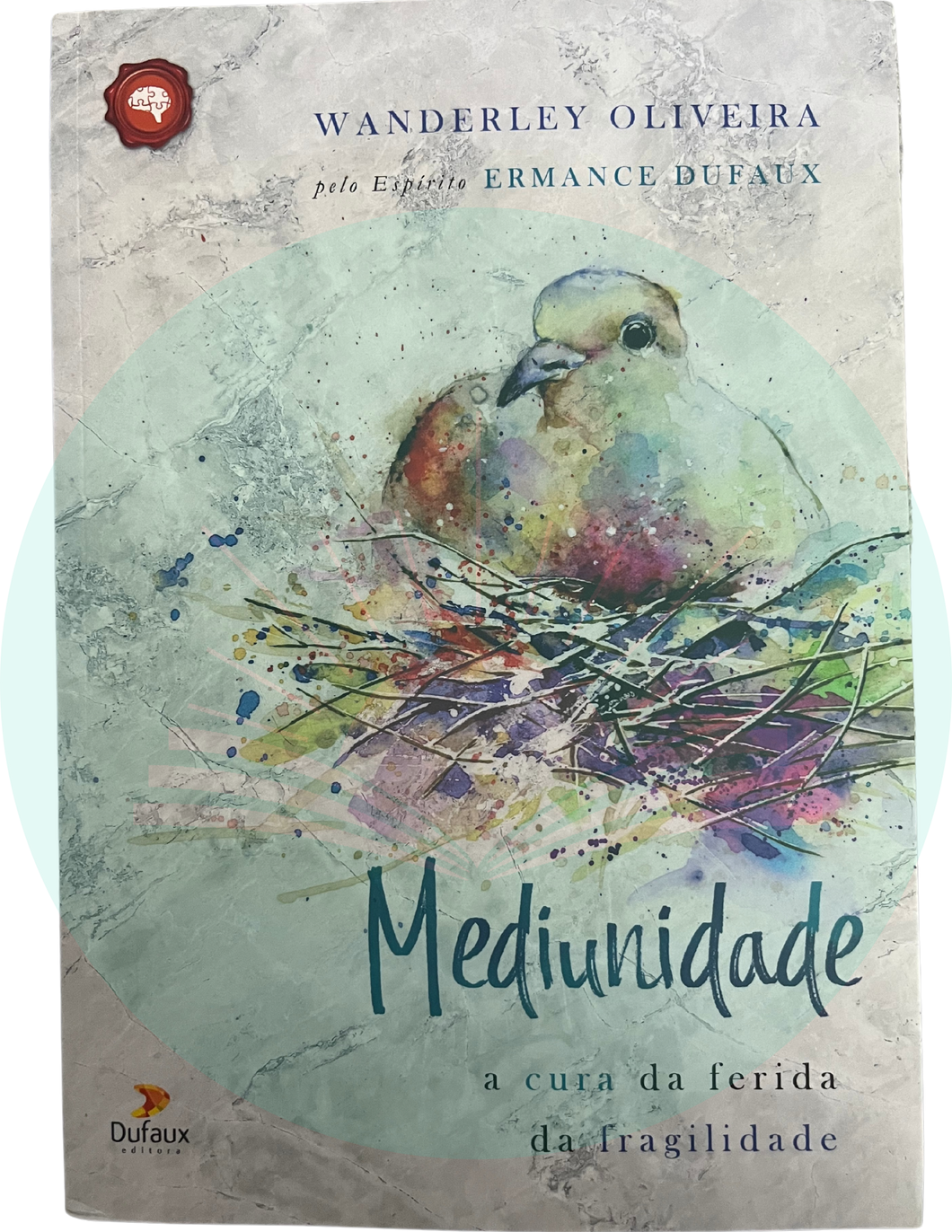 Mediunidade - A Cura da Ferida da Fragilidade - Wanderley Oliveira